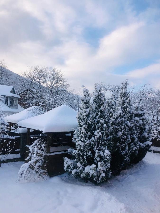 Котедж Гірський Iaremcea Exterior foto