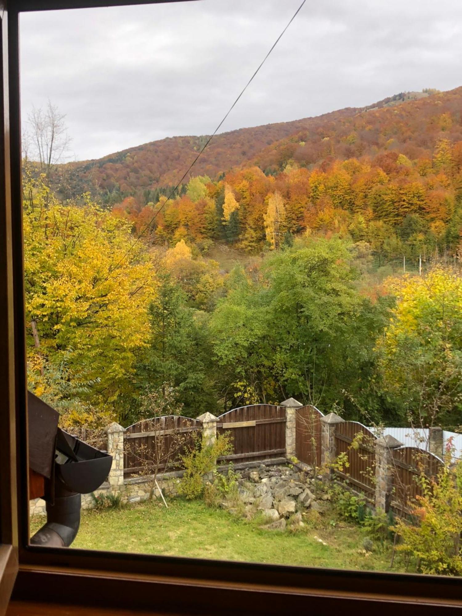 Котедж Гірський Iaremcea Exterior foto