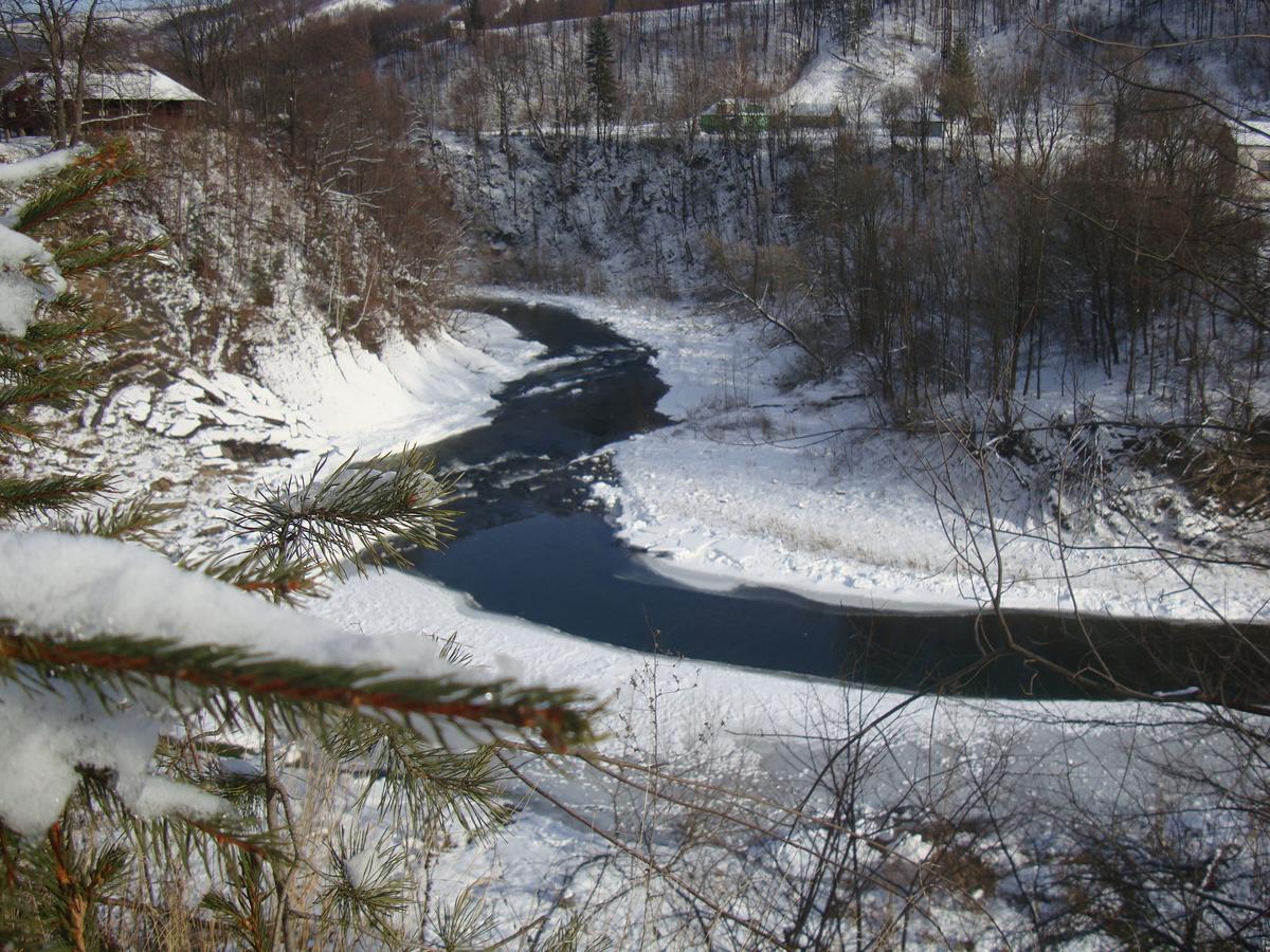 Котедж Гірський Iaremcea Exterior foto