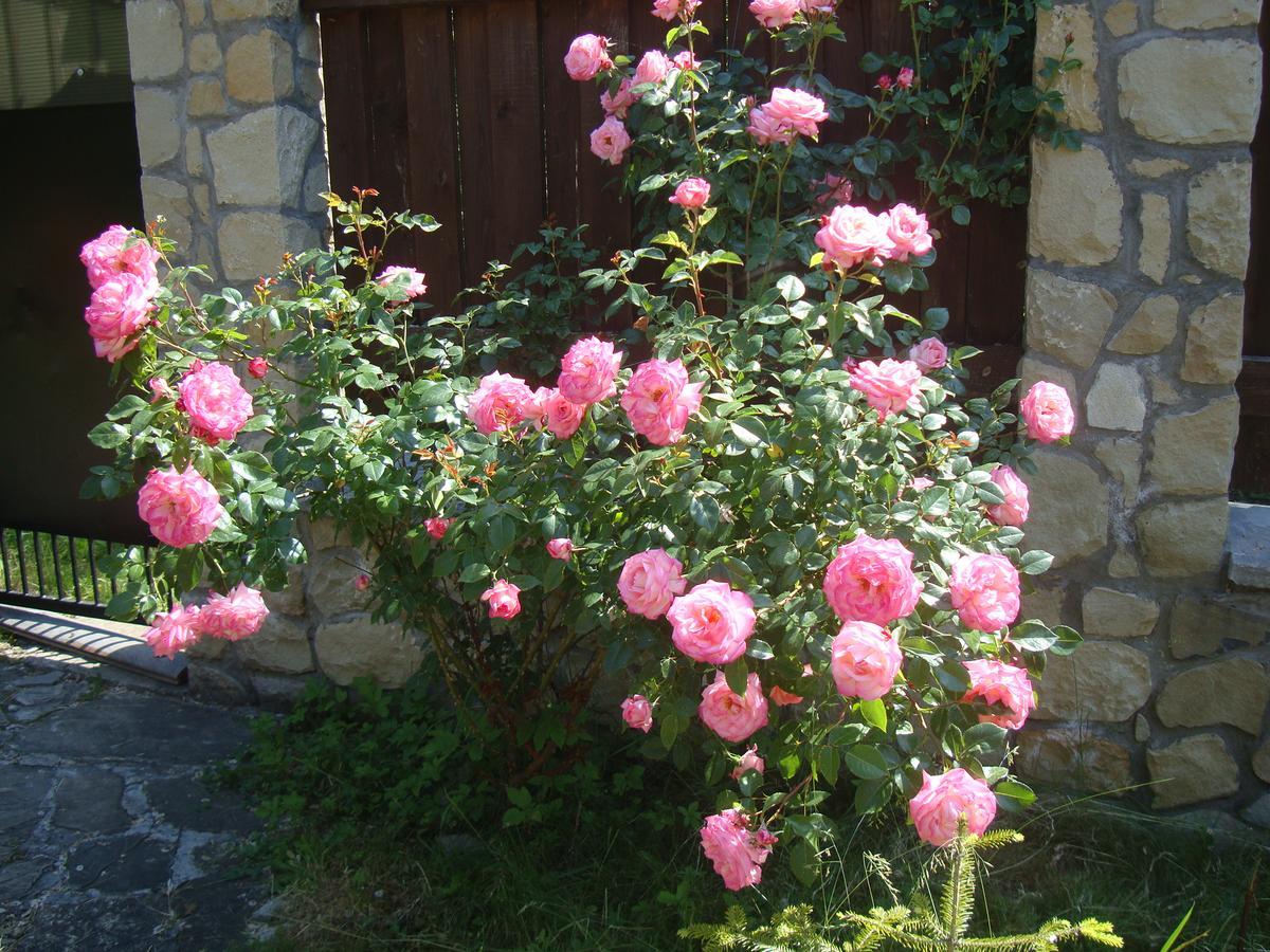 Котедж Гірський Iaremcea Exterior foto